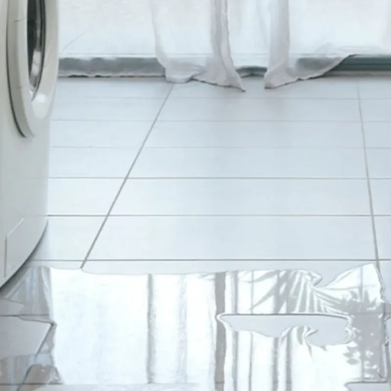 Appliance Leak Cleanup in Royston, GA
