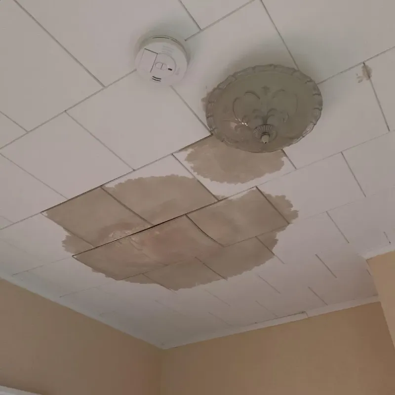 Ceiling Water Damage Repair in Royston, GA