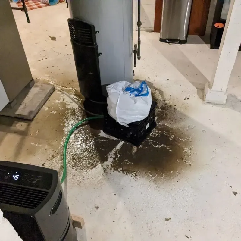 Sewage Backup Cleanup Service in Royston, GA